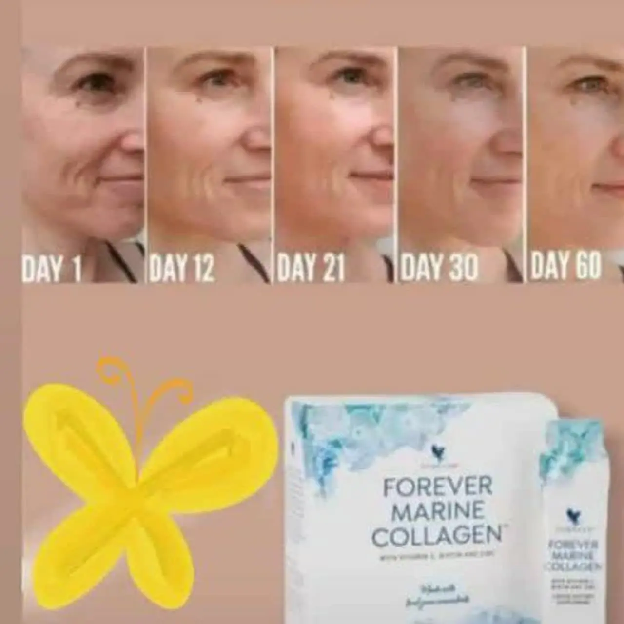 محصولات فور اور لیوینگ امریکا 