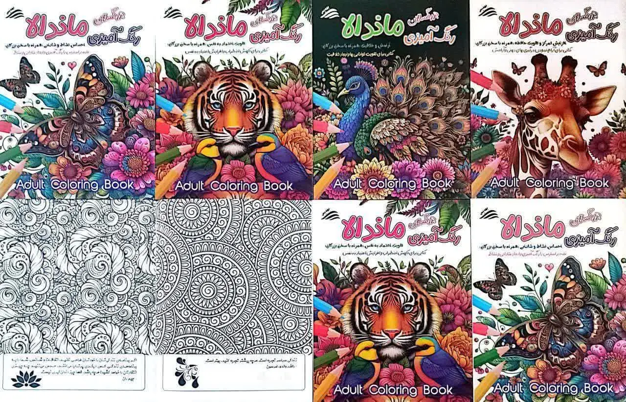 کتاب رنگ آمیزی بزرگسالان ماندالا در چهار عنوان متنوع
