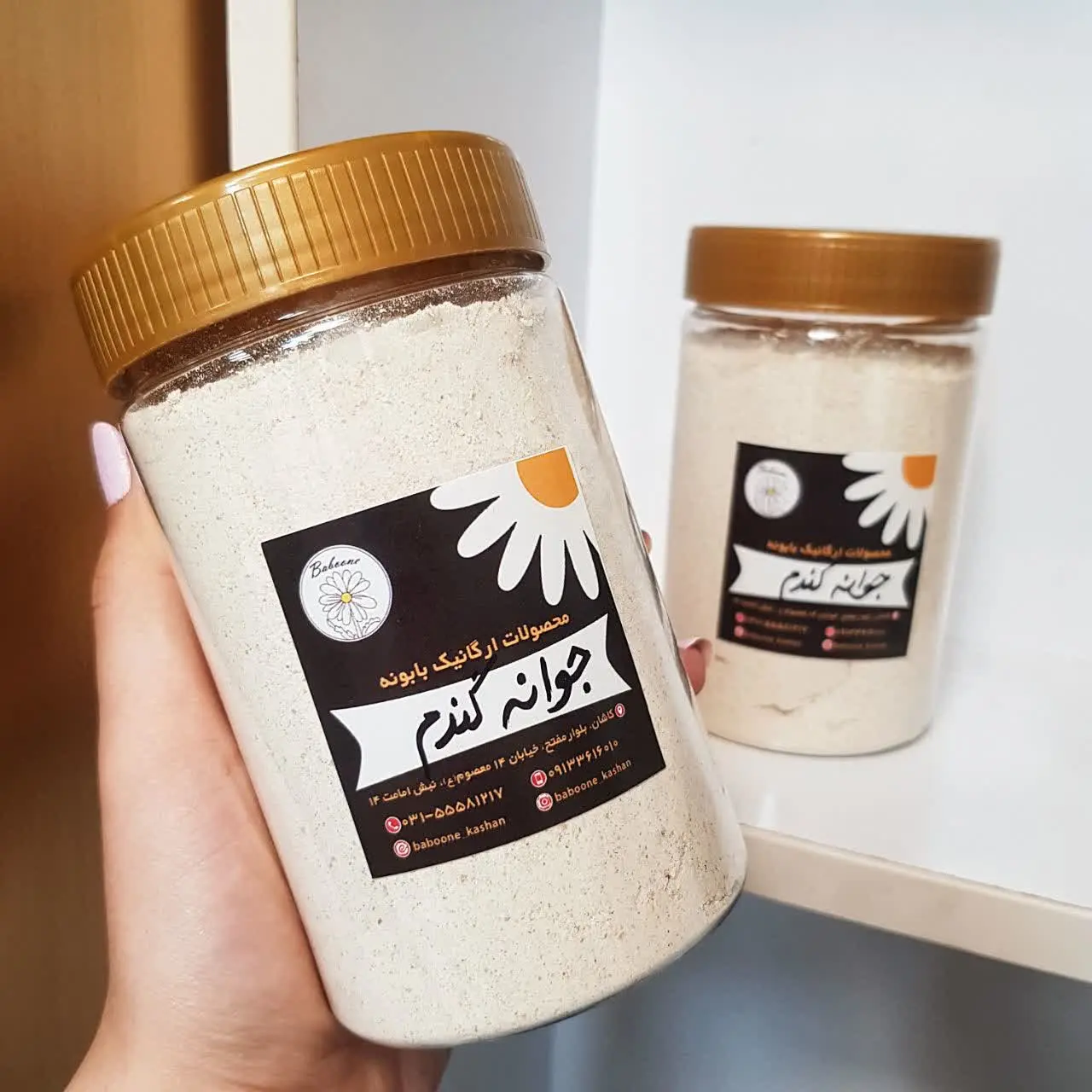 جوانه گندم ارگانیک🌱
