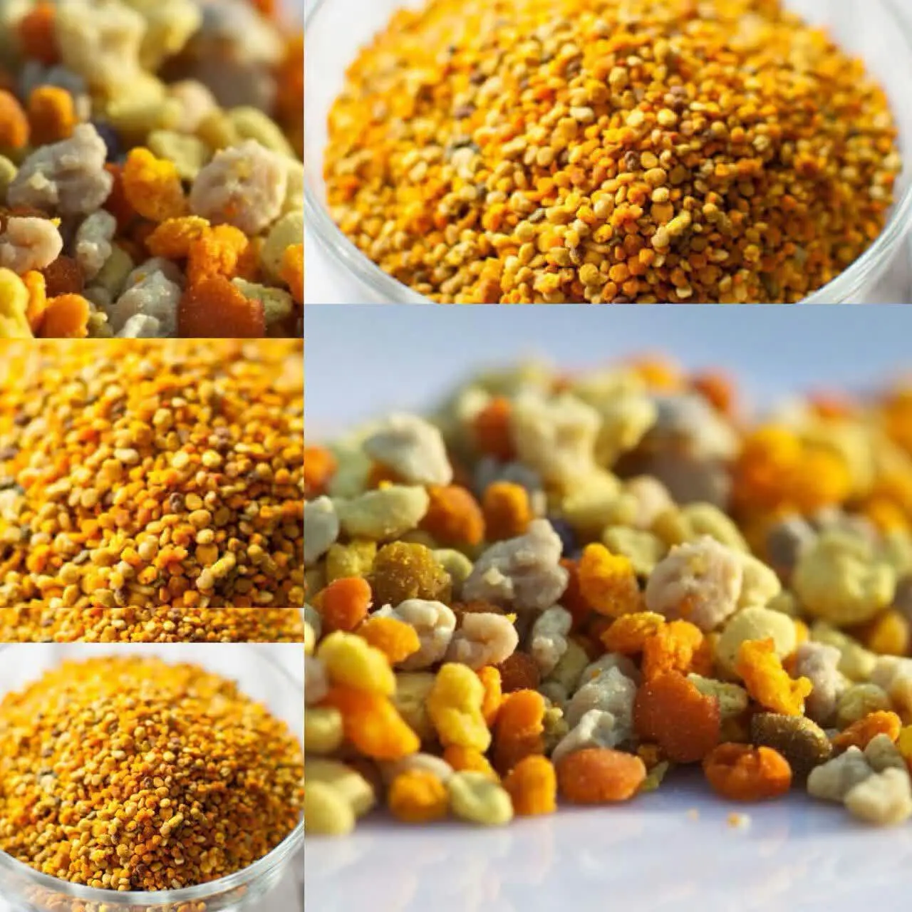 🌼🌸🌼 گرده گل 🌼🌸🌼
