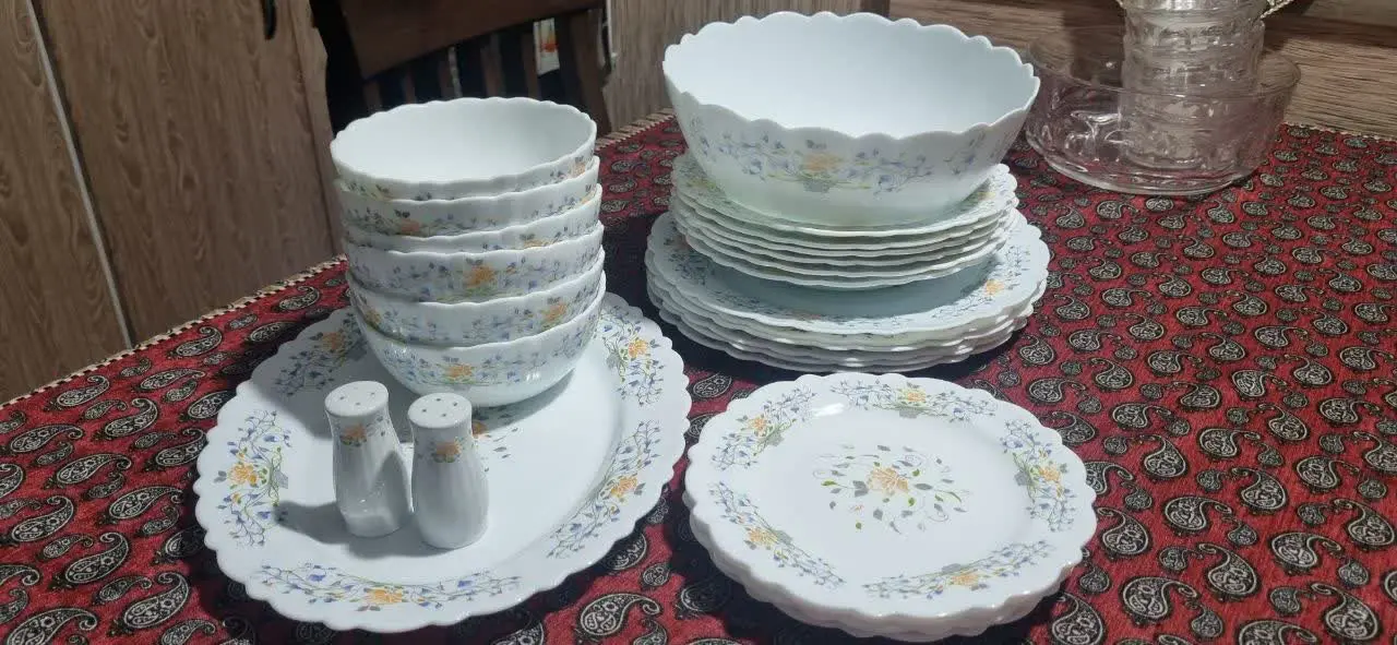 سرویس آرکوپال سیلور گلس 
