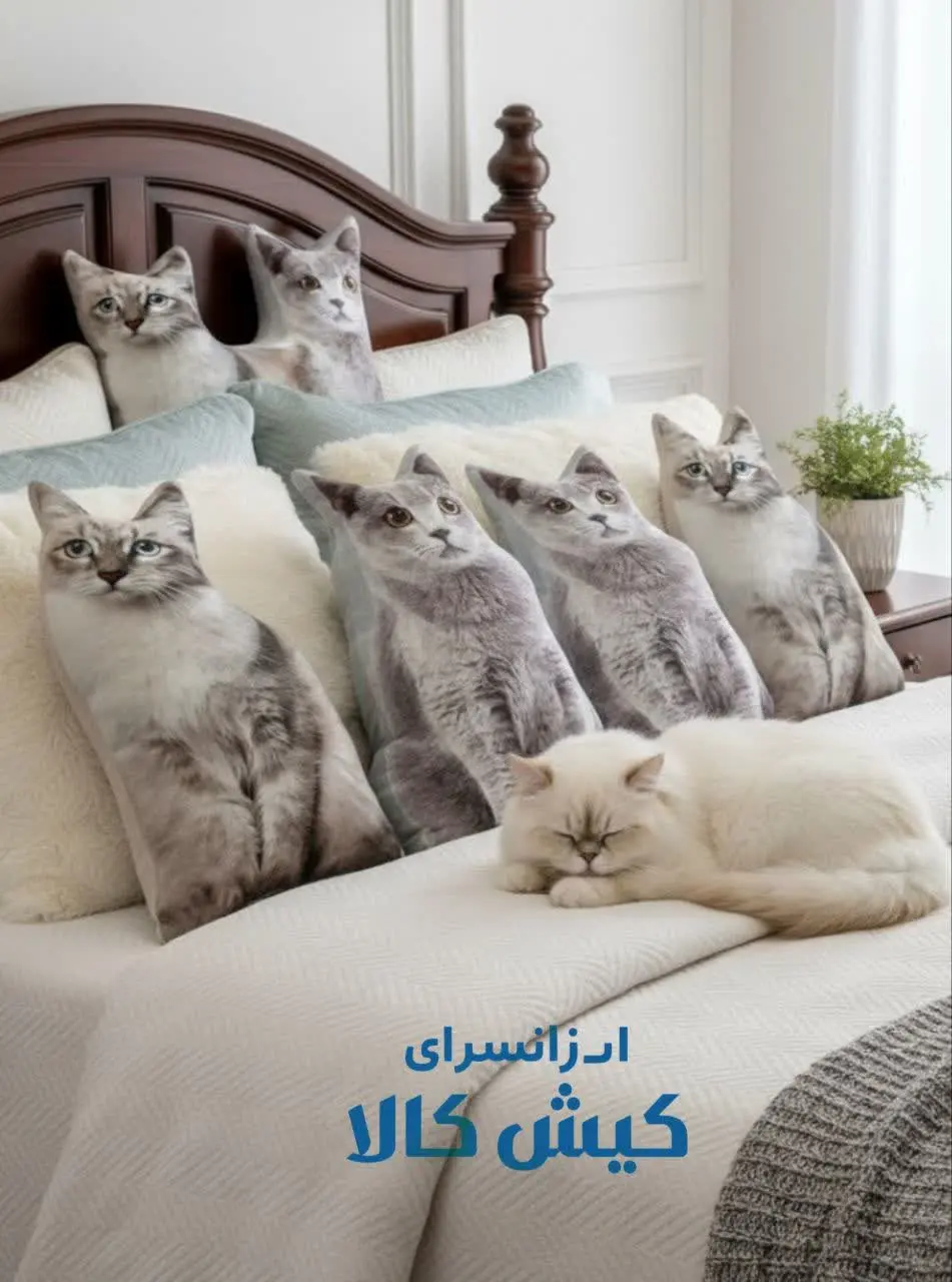 بالشت طرح گربه🐱