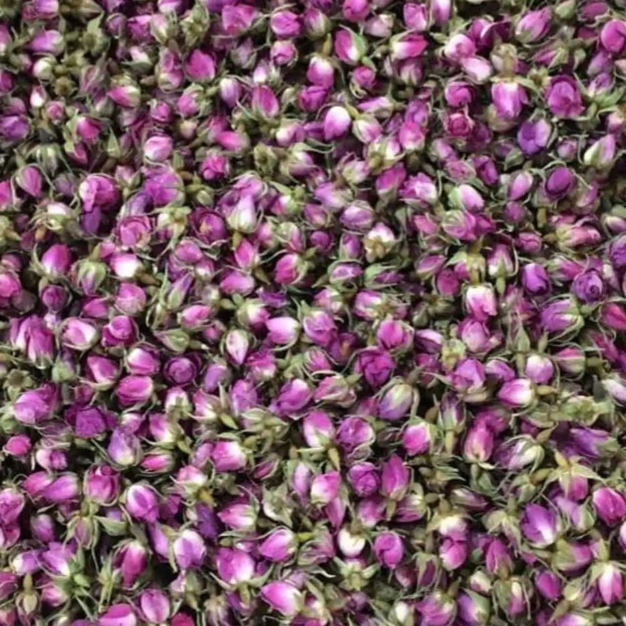 🌸 شارژ غنچه محمدی 🌹
