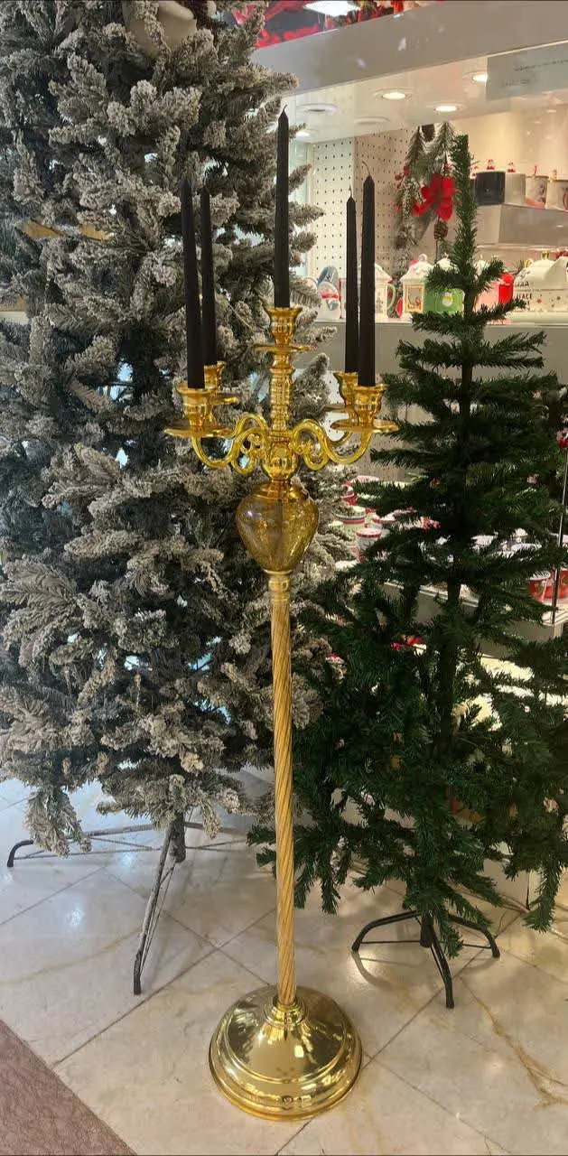 جاشمعی ۵ شعله کنار سالنی ارتفاع ۱۳۰
