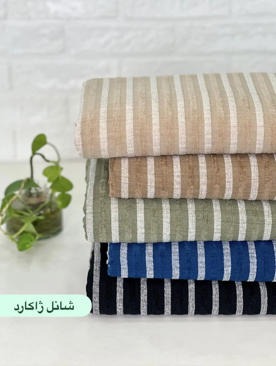 شانل ژاکارد 
