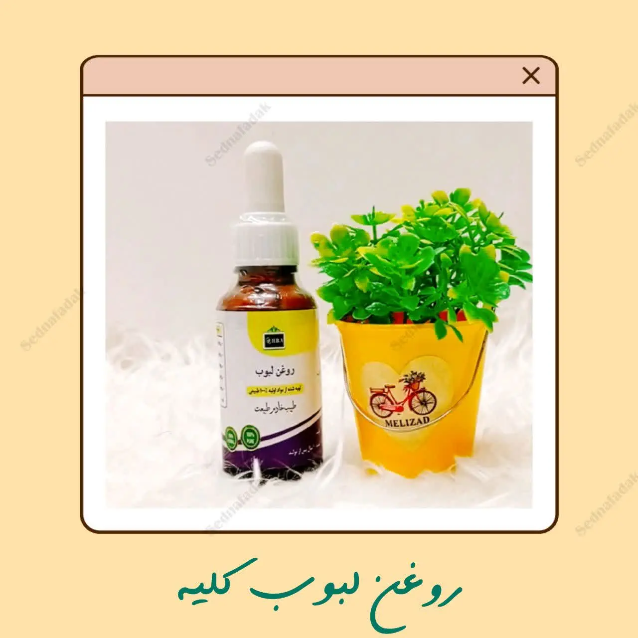 #روغن_لبوب_کلیه
