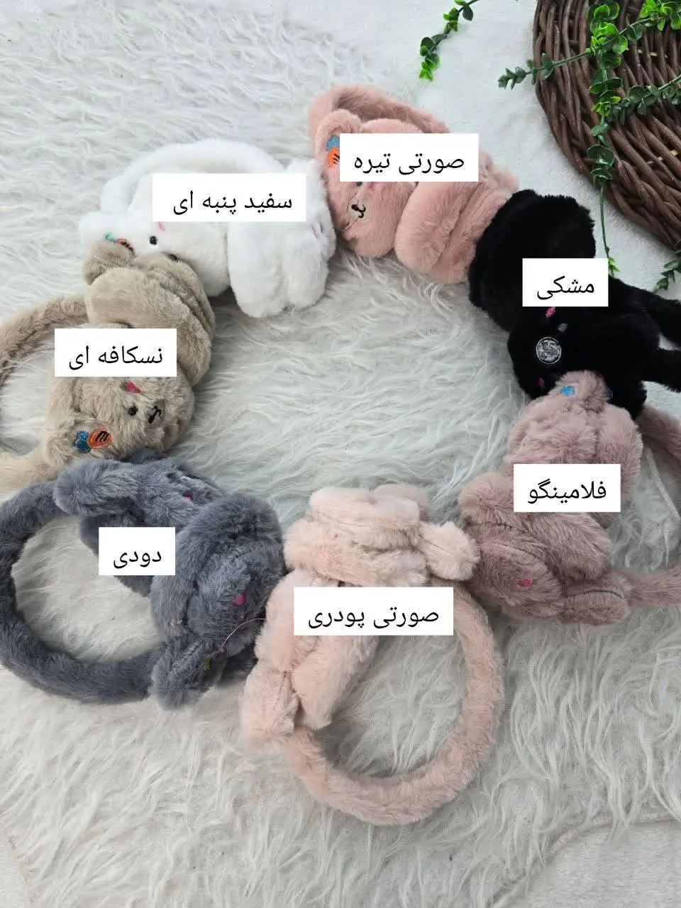 🍁نام: گوشگیر خرگوش