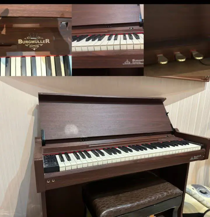پیانو ۵ کلاویه برگمولر