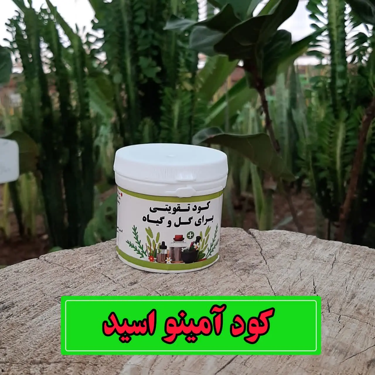 📌کود آمینواسید: 
