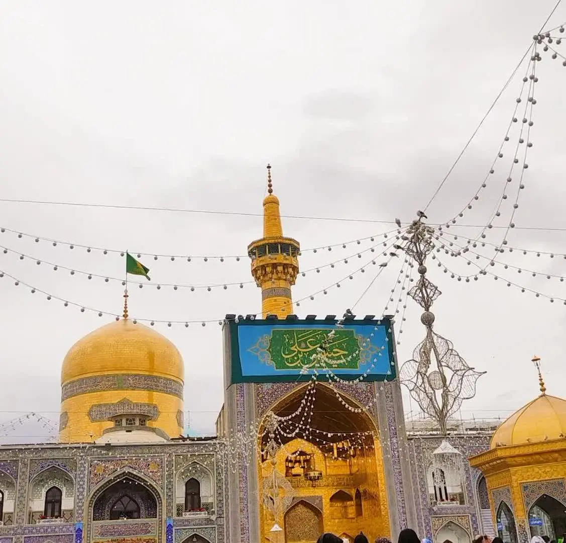 نائب الزیارتون هستم
