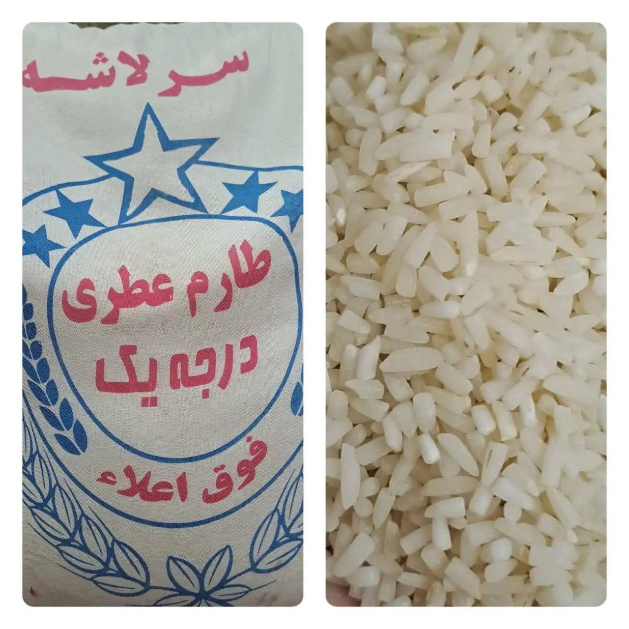  سرلاشه و نیمدانه کشت دو بینام🌾
