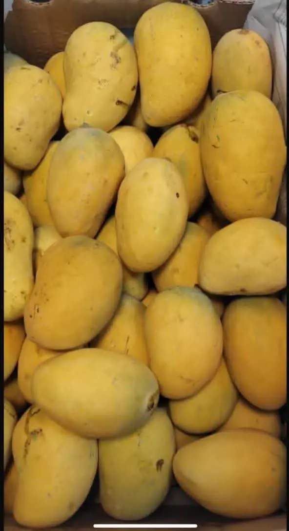 انواع ترشیجات ومحصولات خانگی 
