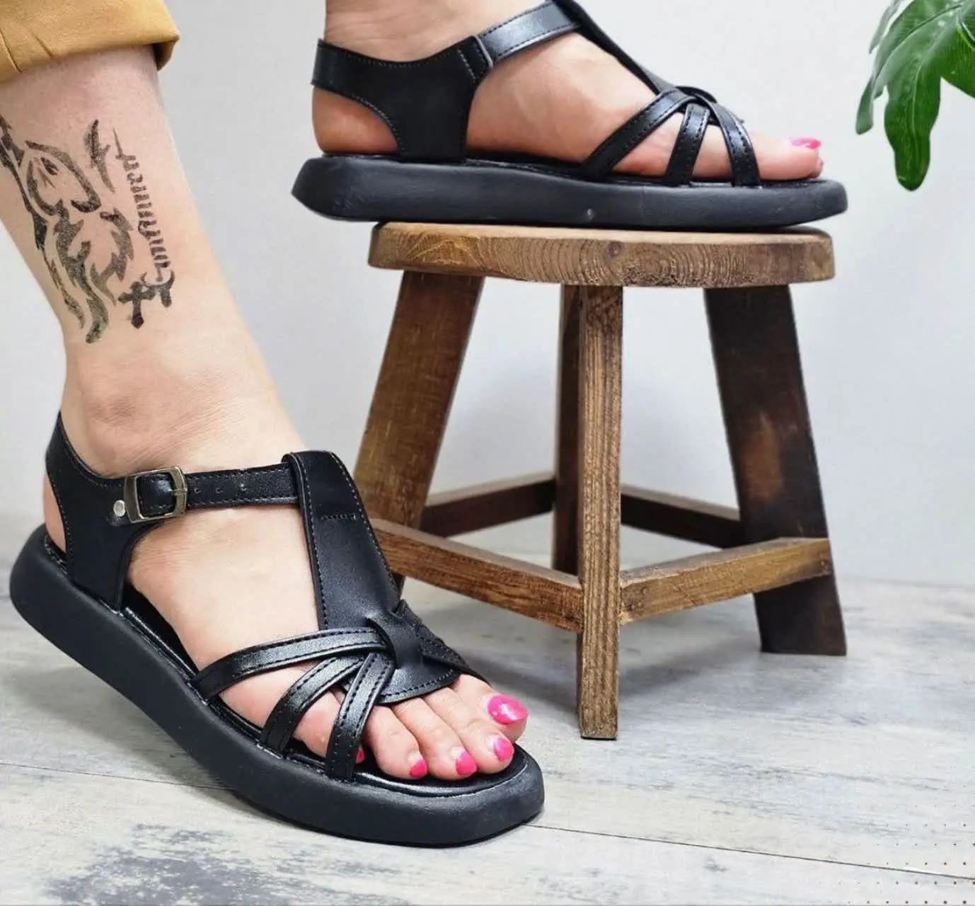 📌نام: صندل ضبدری
