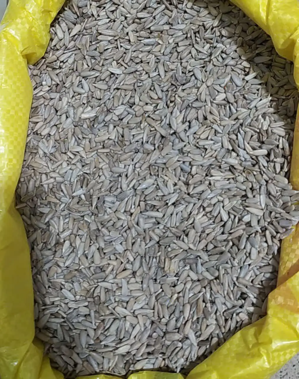 مغز تخمه آفتابگردان
