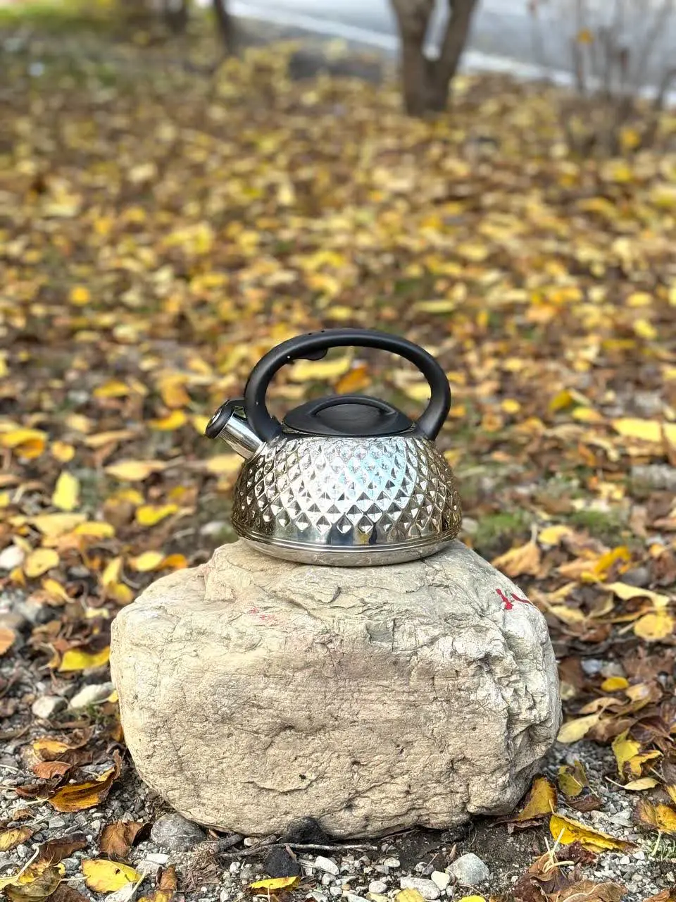 کتری تک استیل وارداتی 
