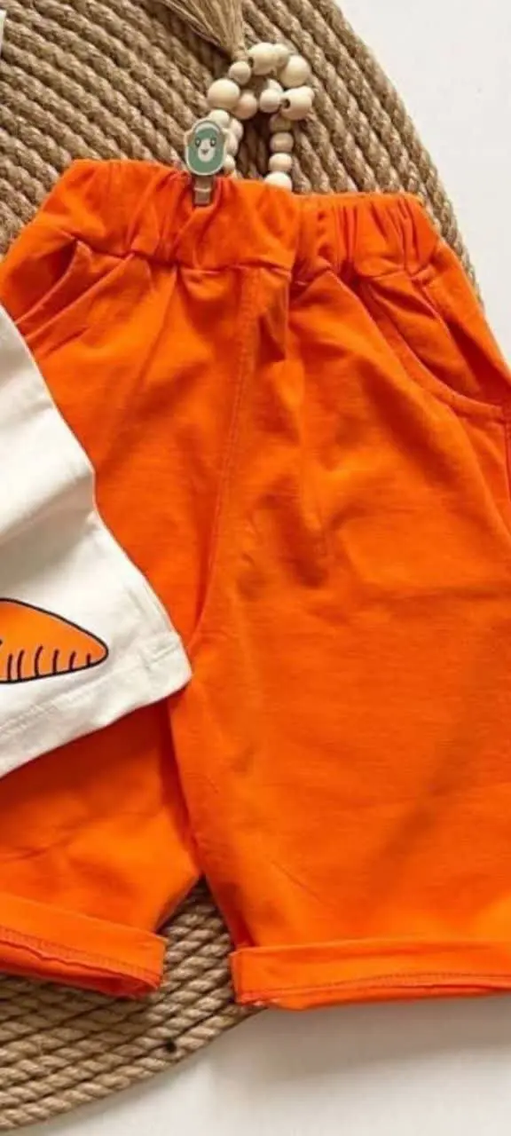 🥕🥕🥕🥕🥕🥕🥕🥕🥕🥕🥕🥕🥕
