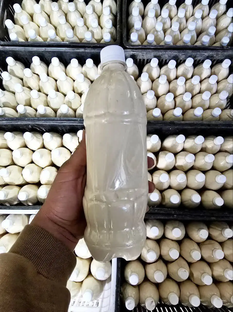 🍃 کشک گوسفندی درجه یک🍃
