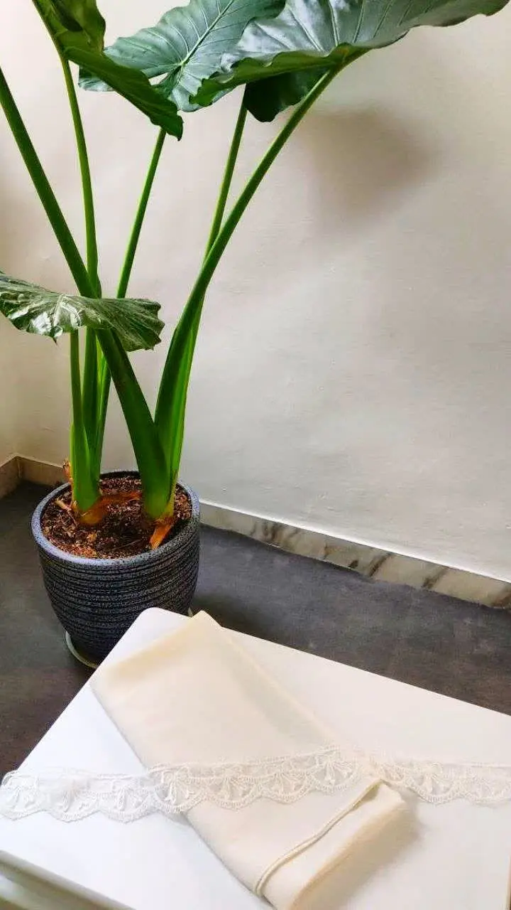 زمان جشنواره تاریخ۲۱تیرهست
