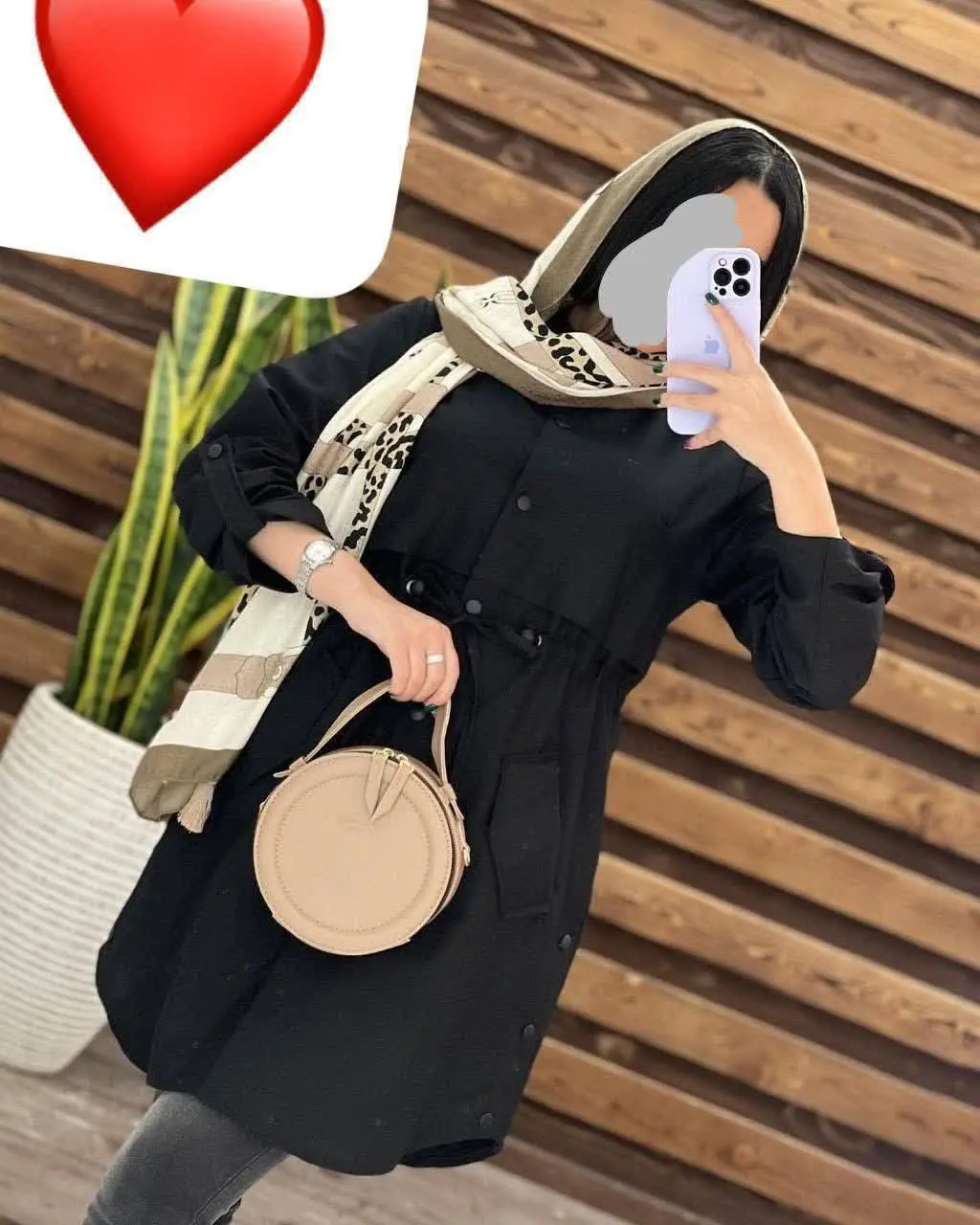 دانشجویی نگار