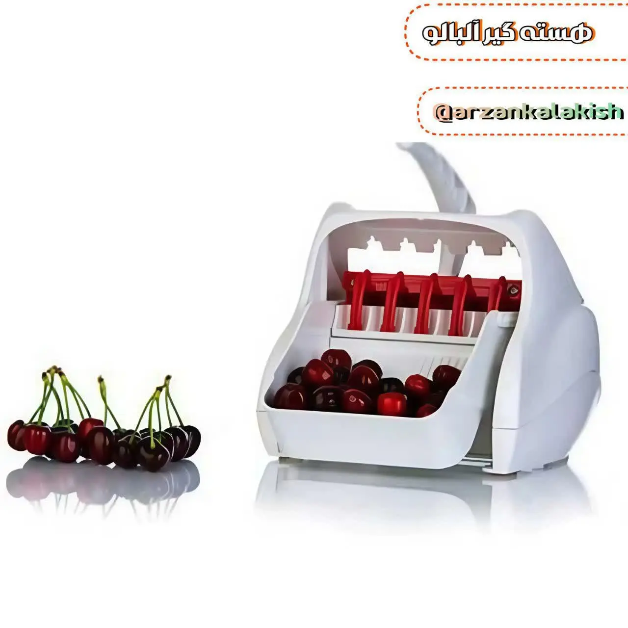 هسته گیر آلبالو 🍒
