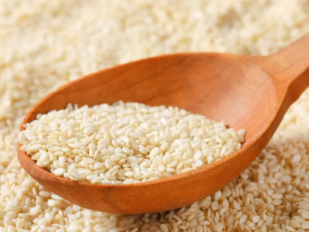 ♦️کنجد سفید تمیز و اعلاء
