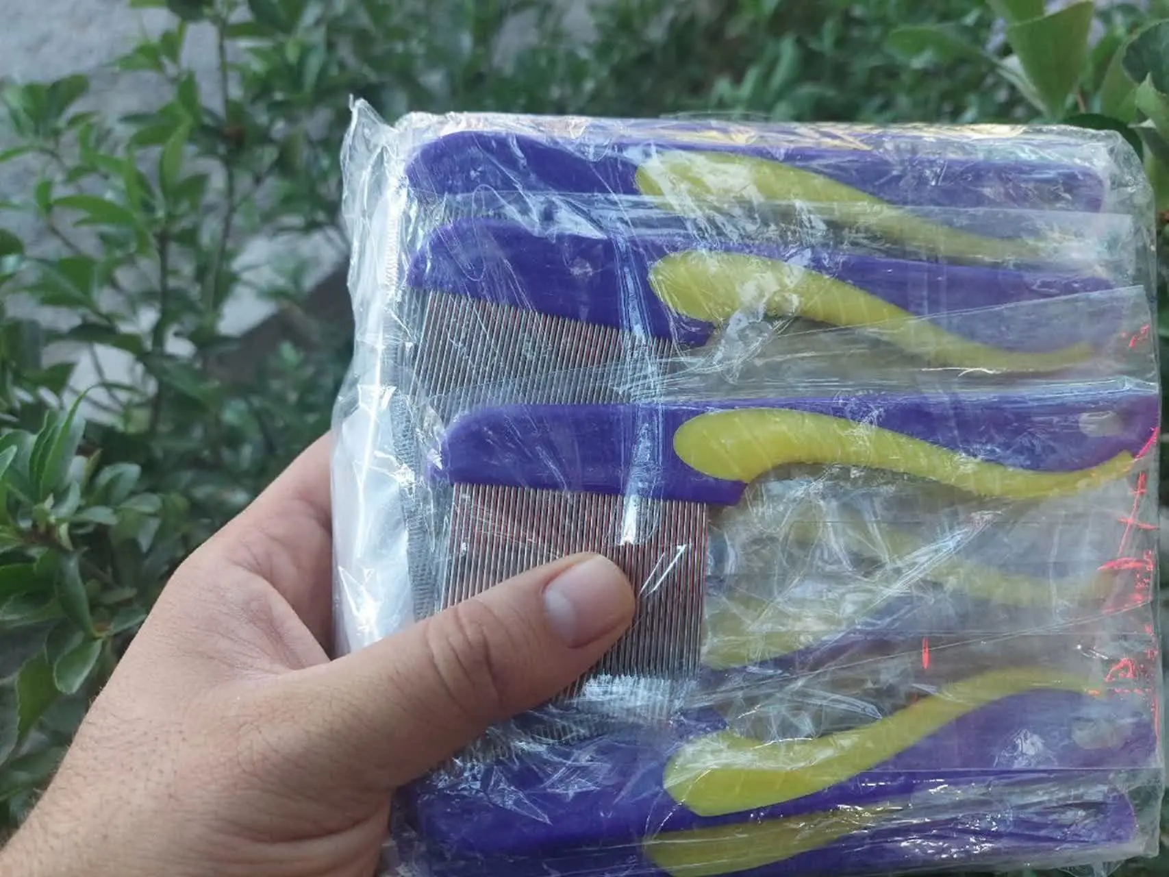 🕷🕷🕷🕷🕷🕷
