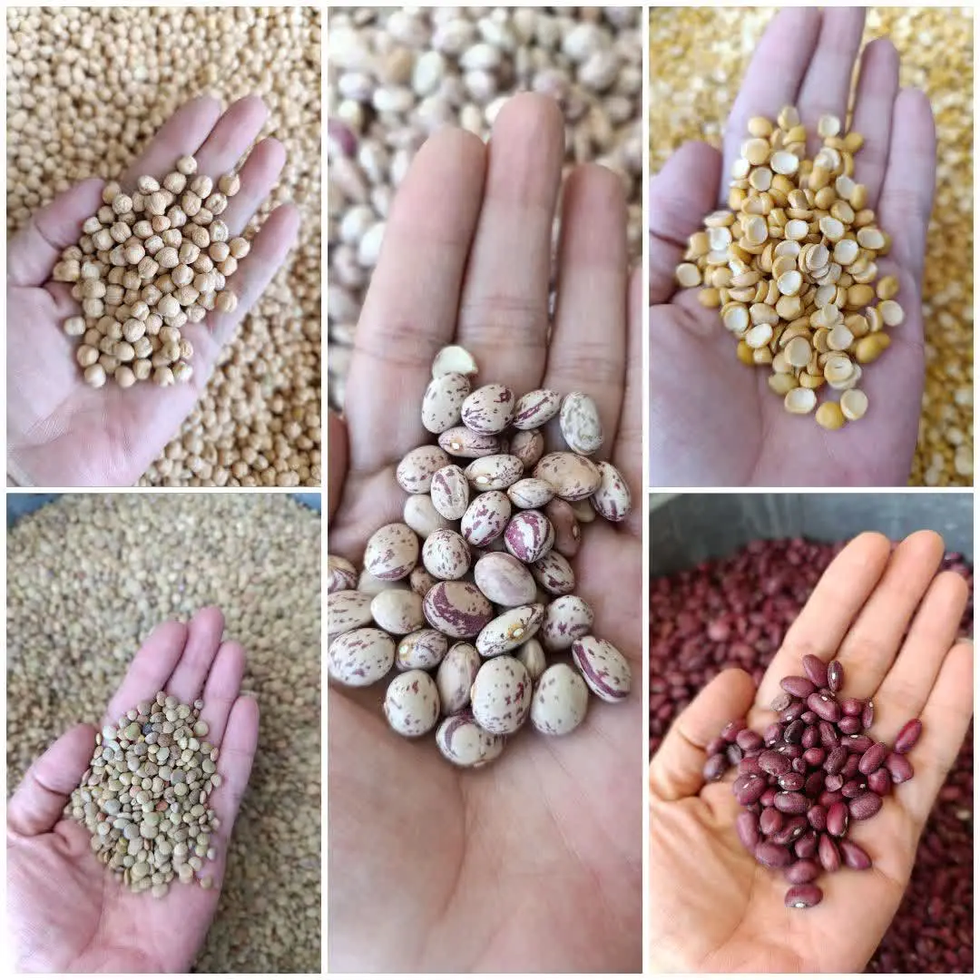 #حبوبات طیب 👌🏻
