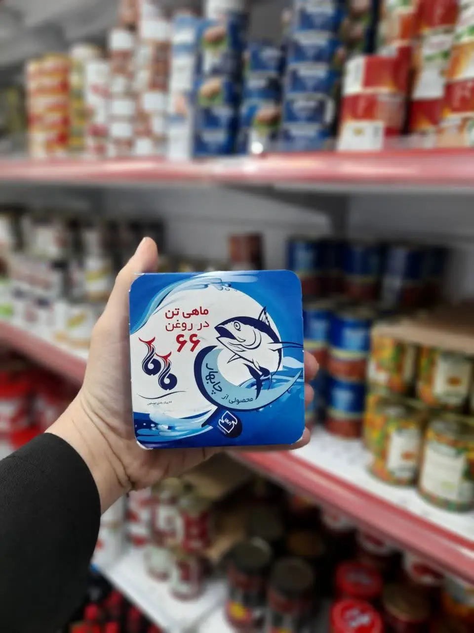 کنسرو ماهی ۶۶
