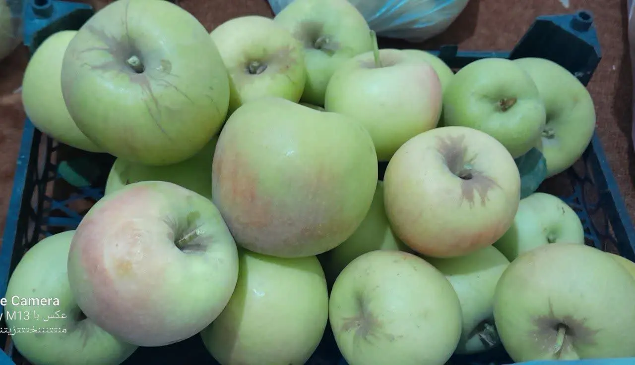 سیب زرد تازه و آبدار درشت و...