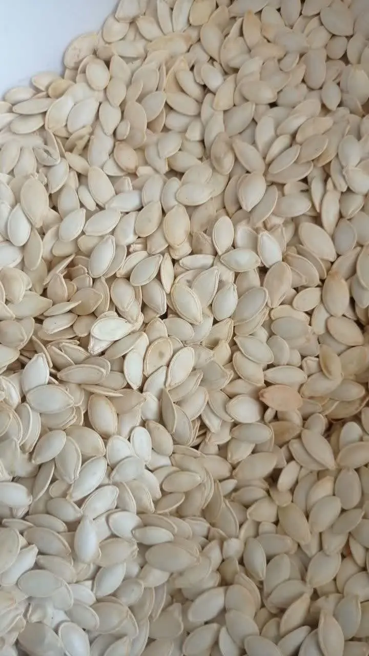 💟💟💟تخمه کدو خام 
