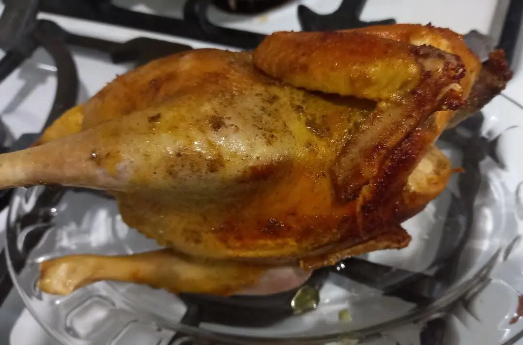 مرغ‌های دیرپز درشت
