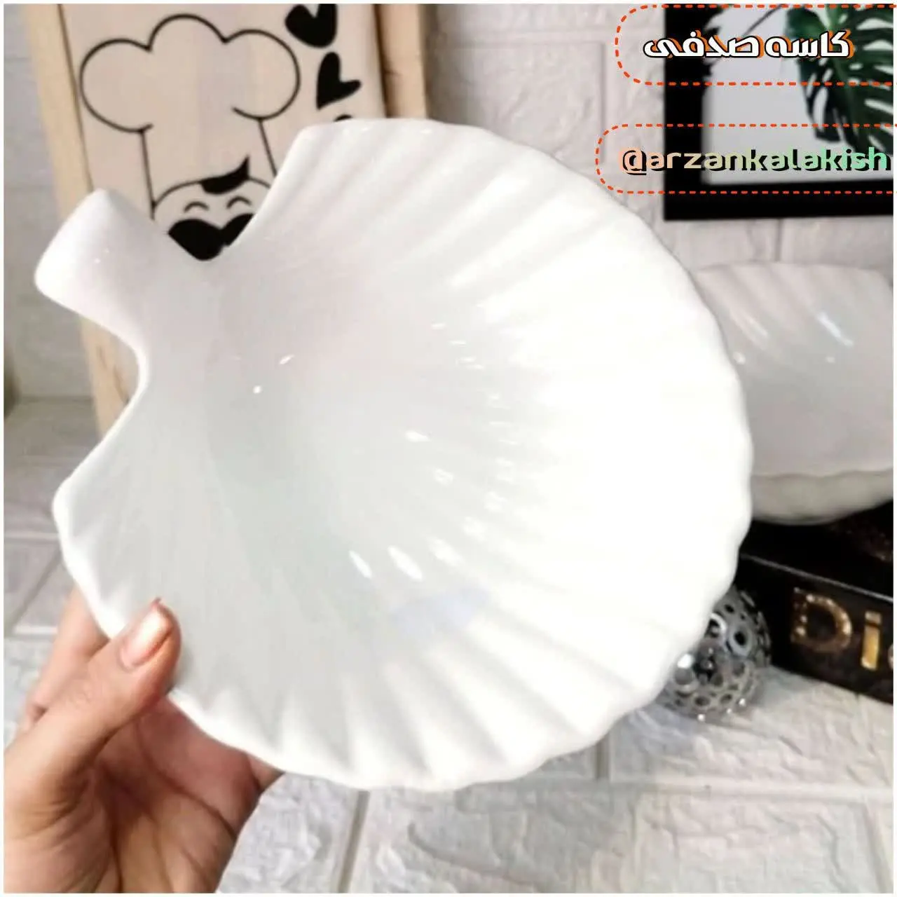 کاسه صدفی 🐚 
