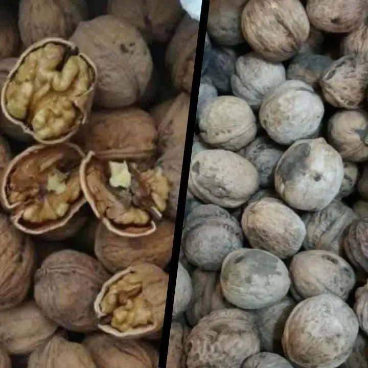 ✅ شارژ عمده گردو لوکس پوست پیازی
