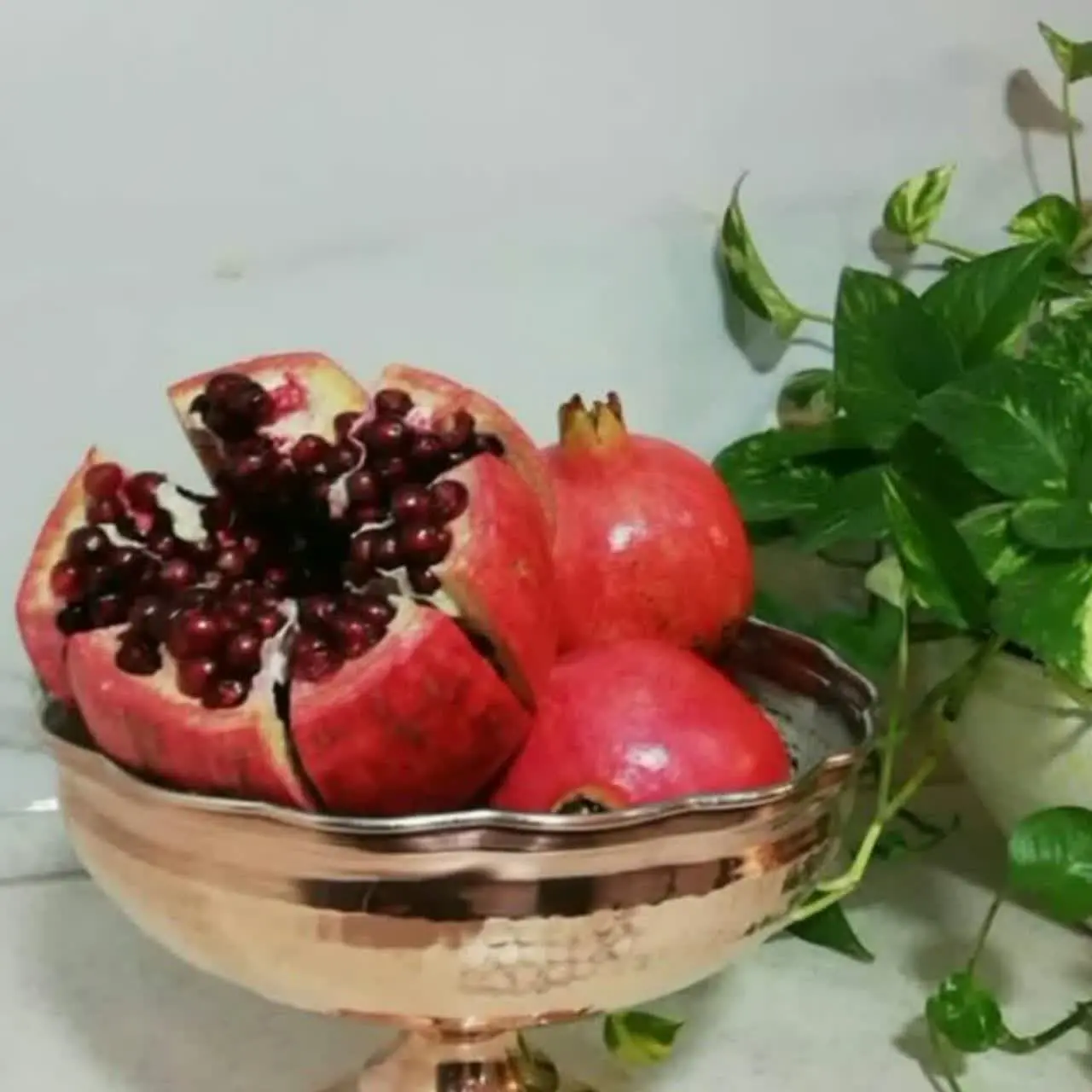 هم آجیل خوری و هم میوه خوری🤩