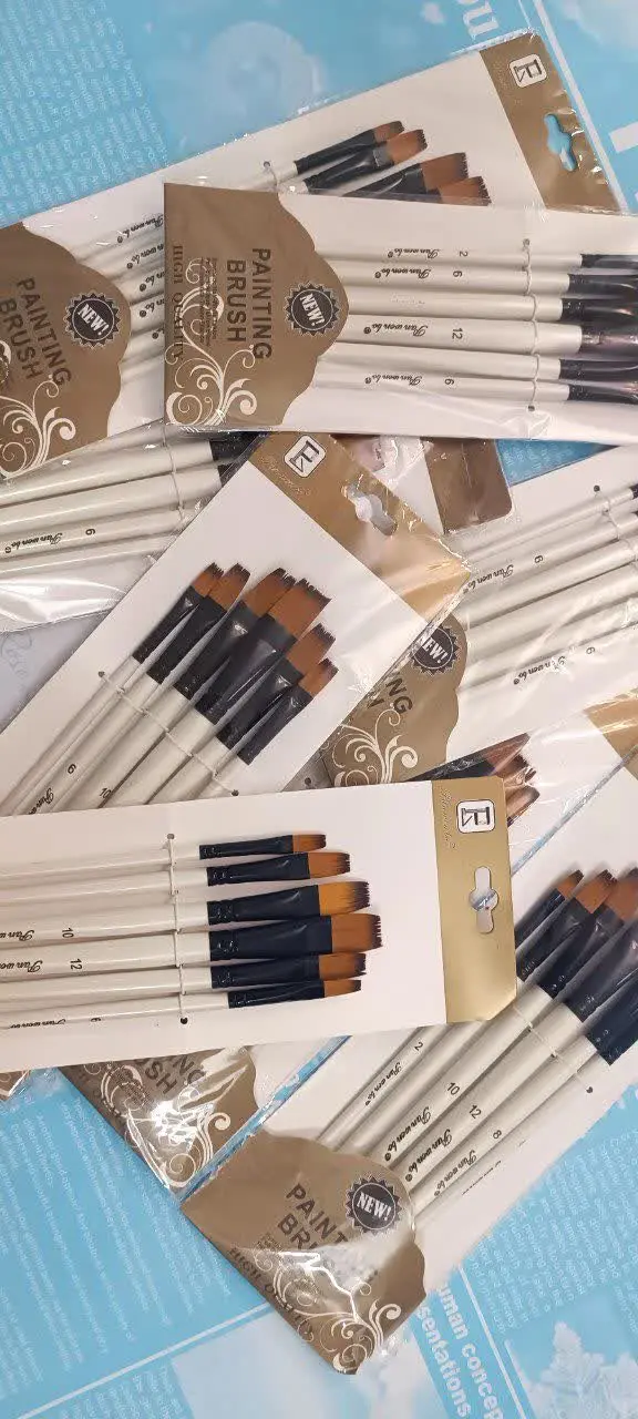 ست ۶ عددی قلم مو
