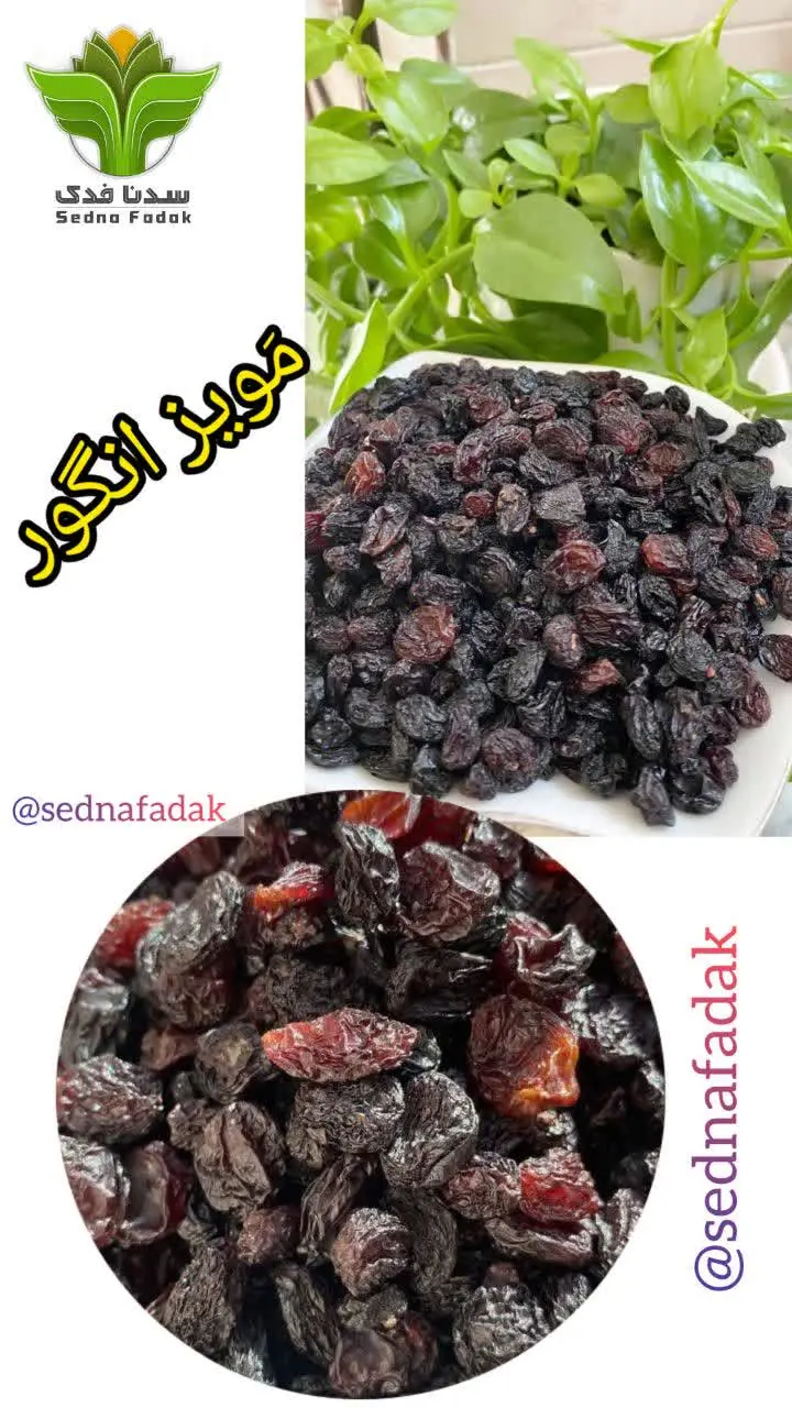 🍇مویز انگور شانی کردستان🍇

