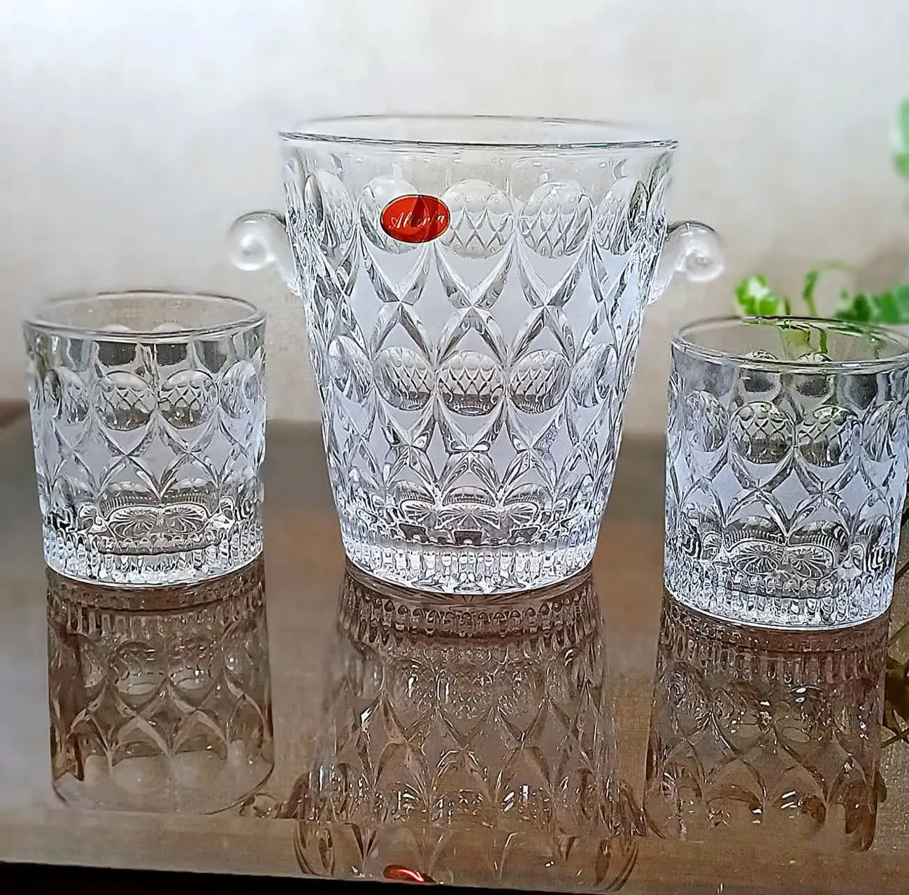 یخدان خورشیدی و انجلیکا مخص...