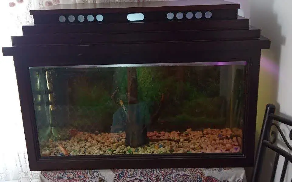 آکواریوم با طول ۹۰ ارتفاع ۵۰
