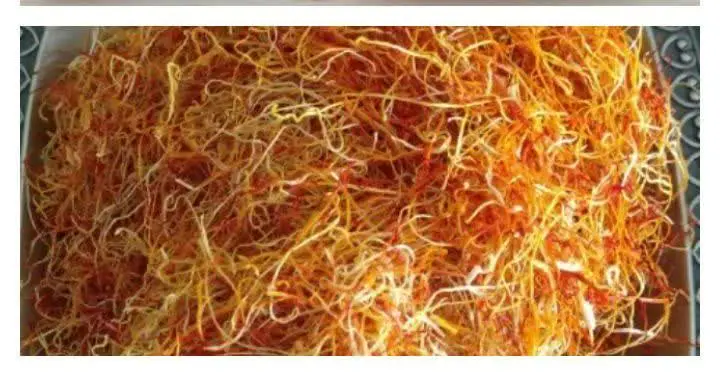 ✅ شارژ ریشه زعفران
