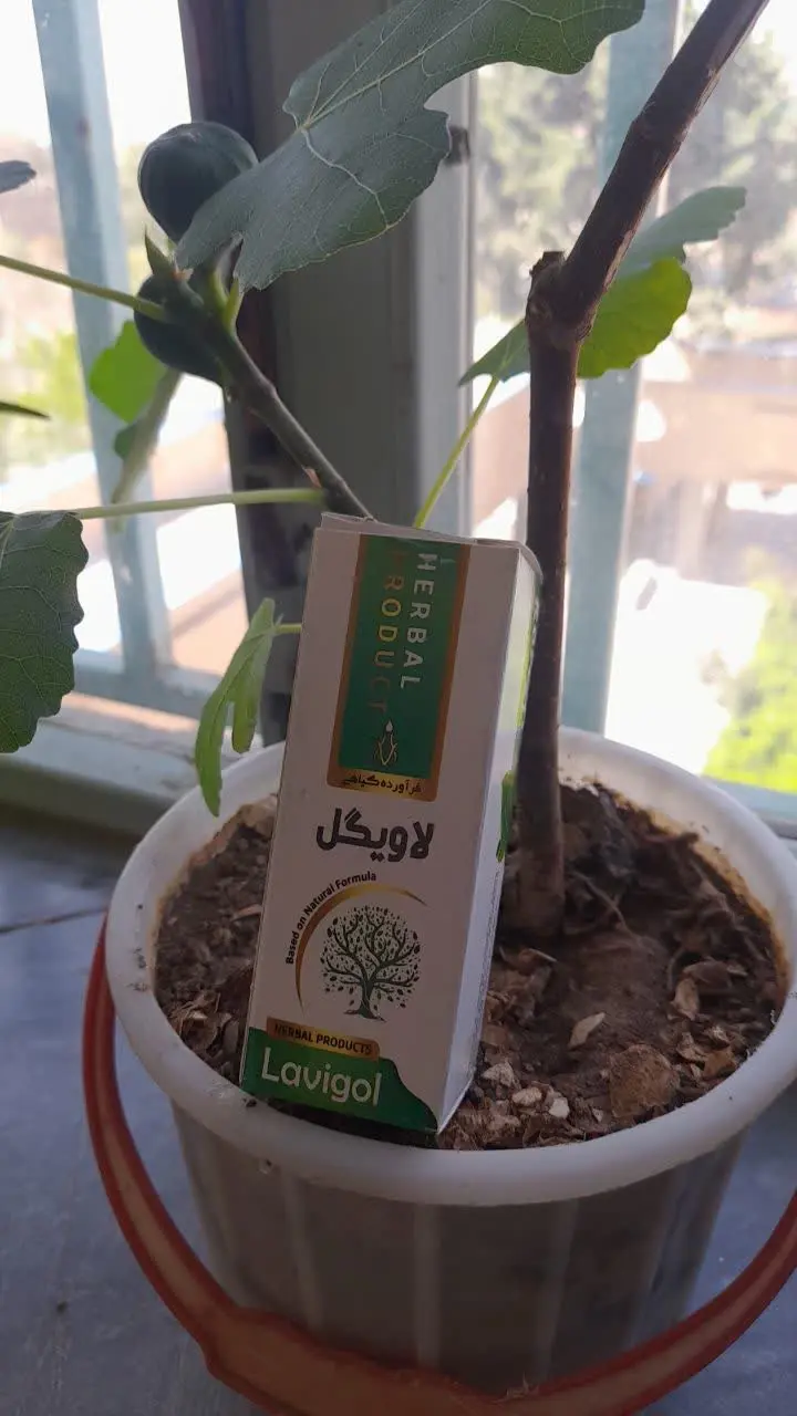 قطره خوراکی لاویگل
