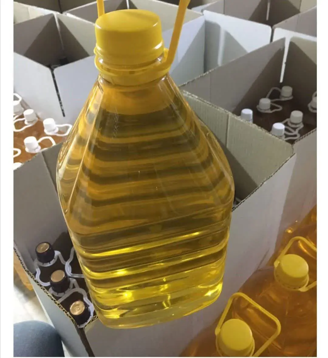 🌞خورشید طلایی🌞: 
