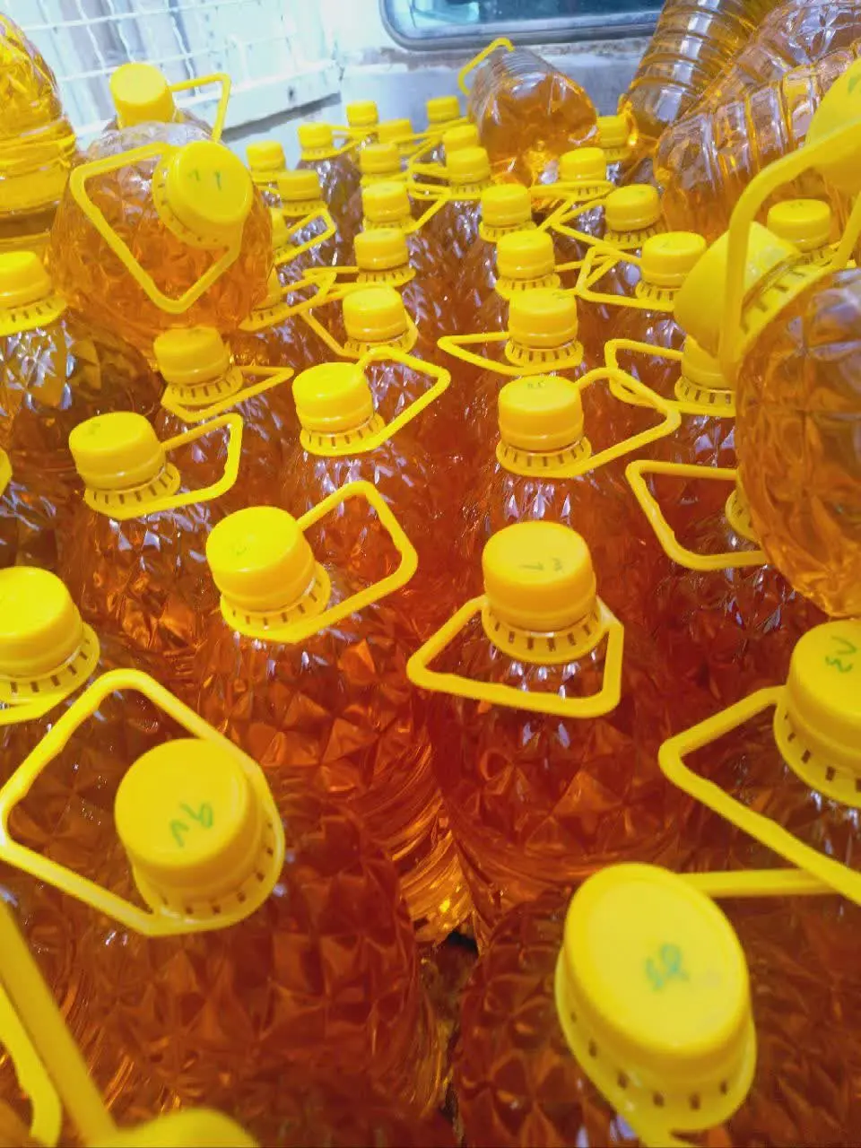 ✅روغن گیری شده از تخمه روسی