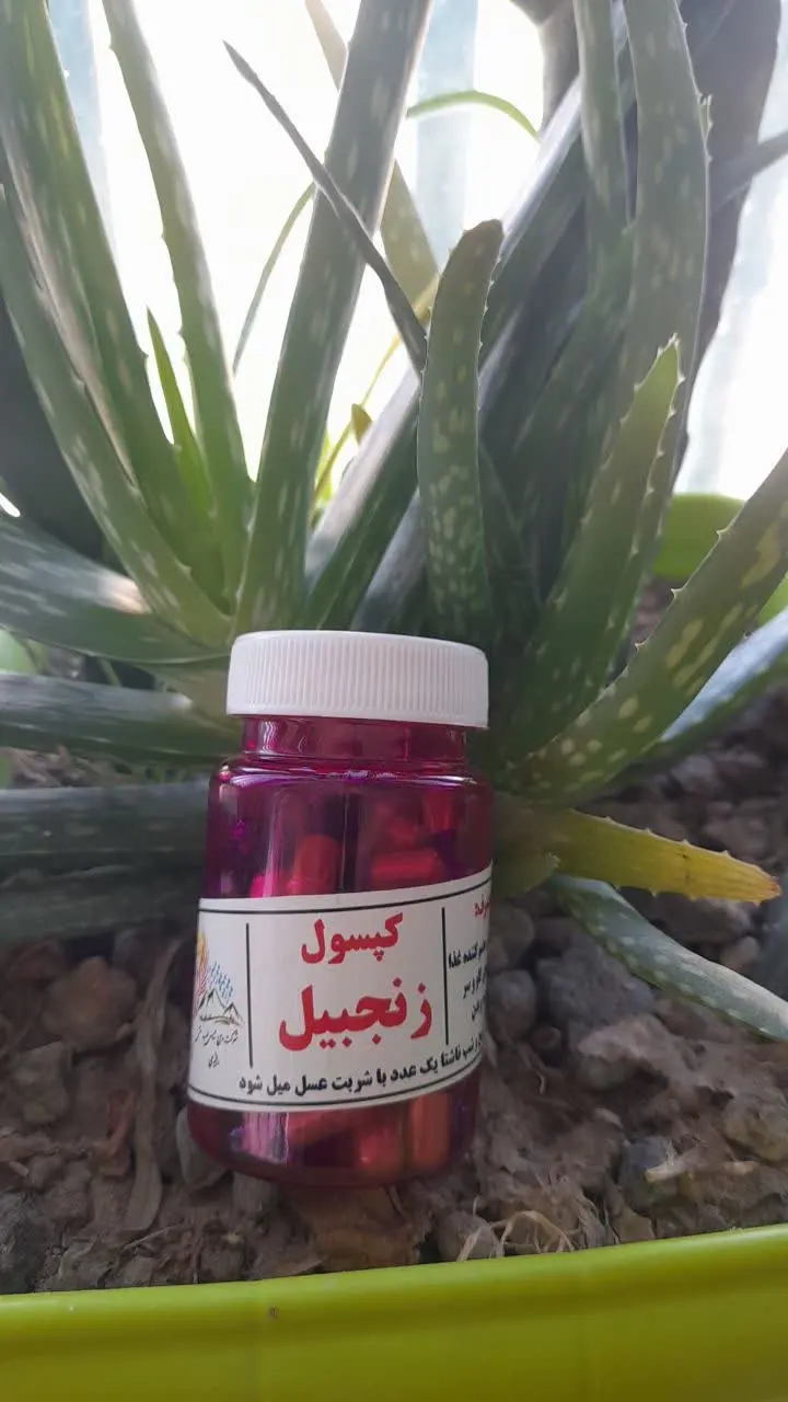 کپسول زنجبیلات
