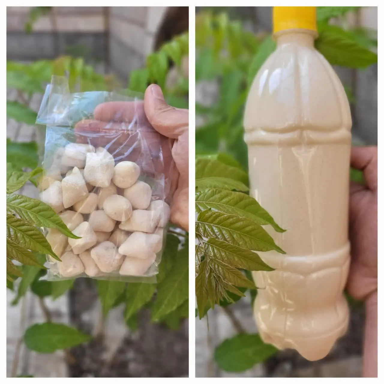 ✴️شماهم به مجموعه انتظار بپ...