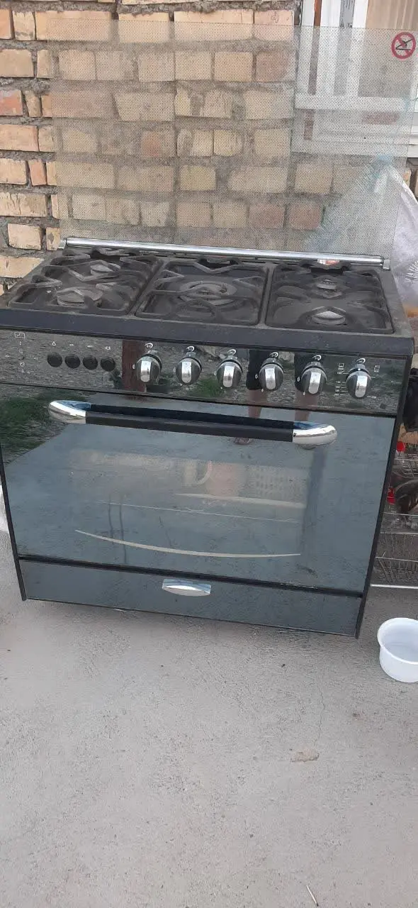 گازفر دارای دوجوجه گردان فرسالم گازسالم سالم
