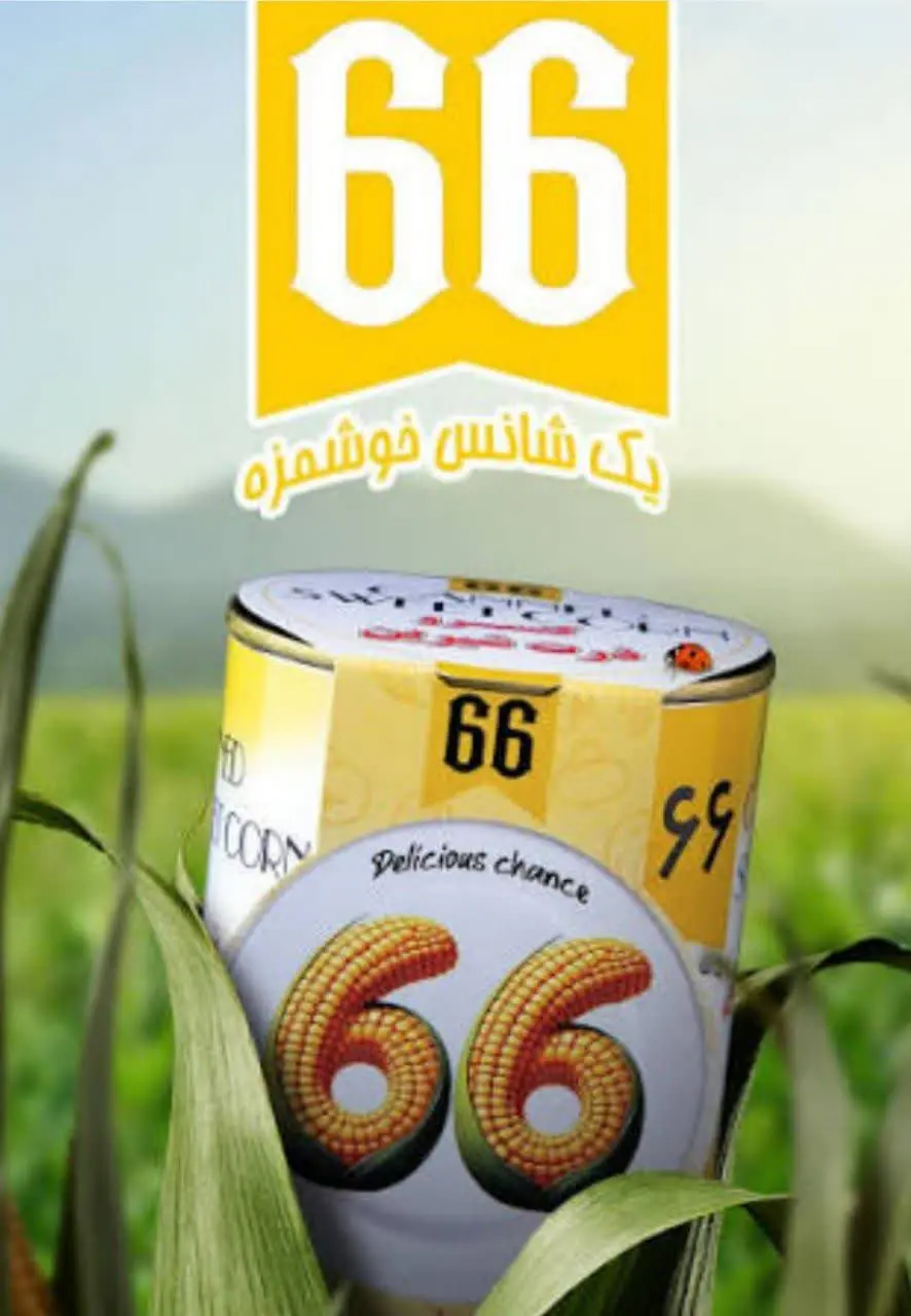 کنسرو ذرت شیرین «۶۶» 🌽