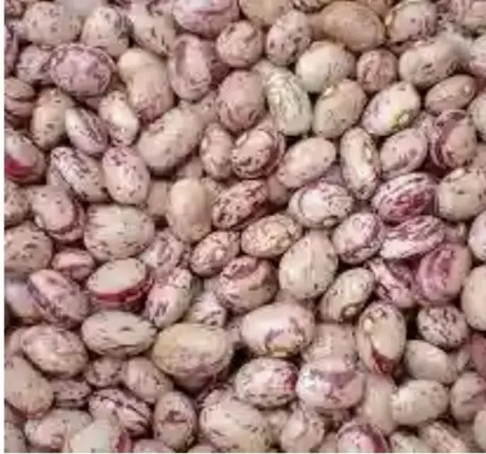 لوبیا چیتی اعلا