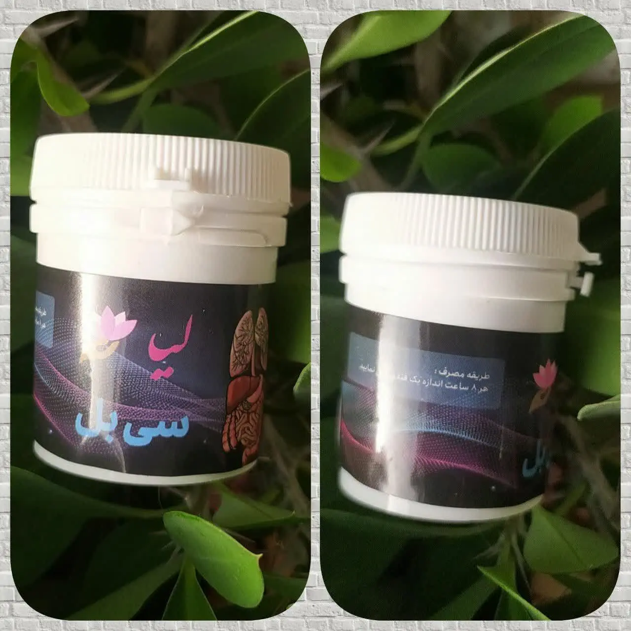 🌺 #سی_بل 🌺
