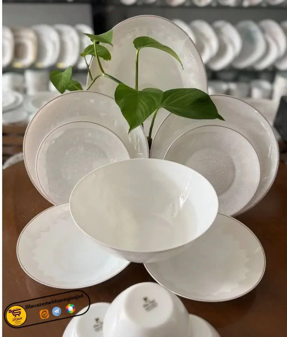 🐚کاسه سالاد	۱ عدد