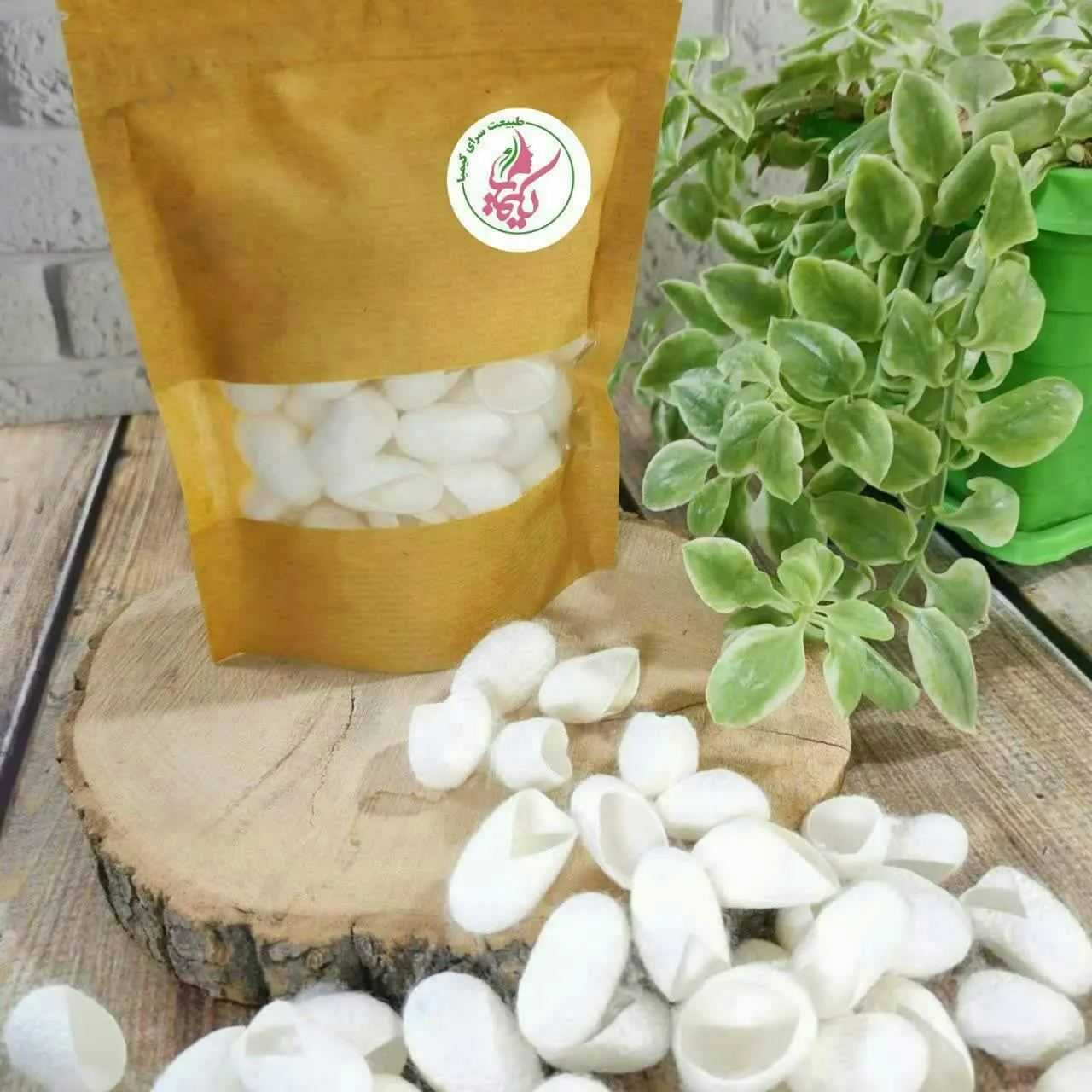 #پیله_ابریشم 🐛
